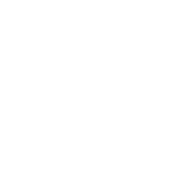 Cortex